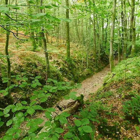La Cage Aux Oiseaux La Lande-de-Goult