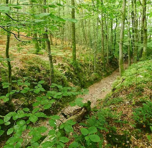 La Cage Aux Oiseaux La Lande-de-Goult